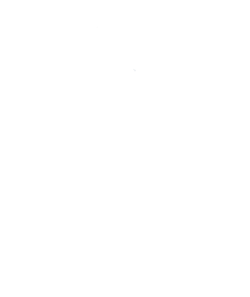 BV Logo transparent