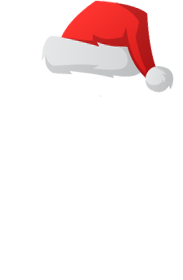 BV Logo transparent